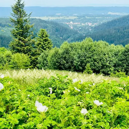 Innwersja Daire Duszniki Zdrój