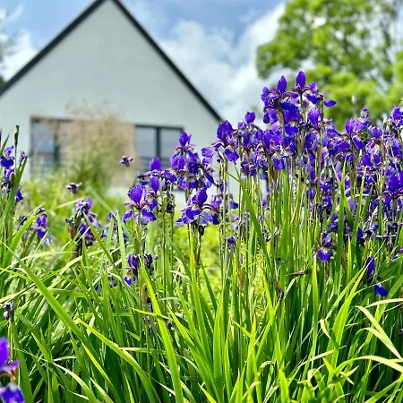 Innwersja Daire Duszniki Zdrój