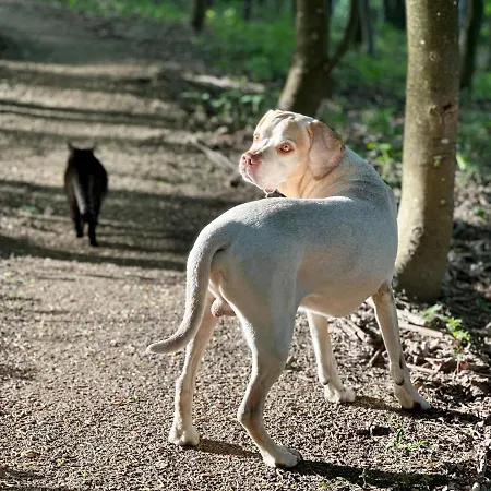 Innwersja Duszniki Zdrój