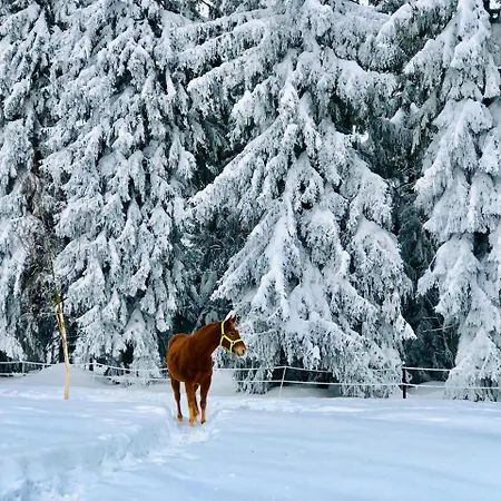 Innwersja Daire Duszniki Zdrój