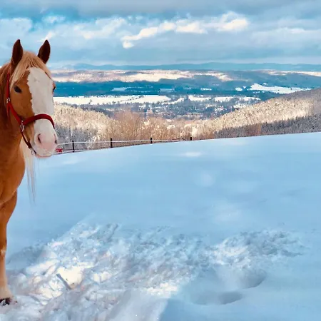 Innwersja Daire Duszniki Zdrój