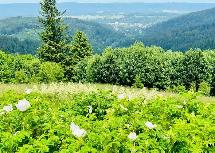 Innwersja Apartament Duszniki Zdrój