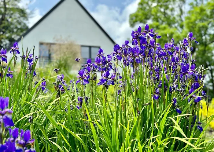 Innwersja Apartament Duszniki Zdrój