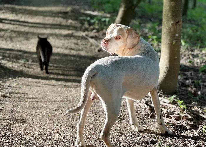 Innwersja Duszniki Zdrój