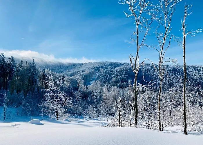 Innwersja 아파트 두슈니키 즈드로지