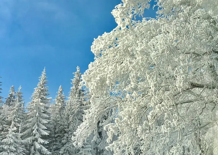 Innwersja Apartament *