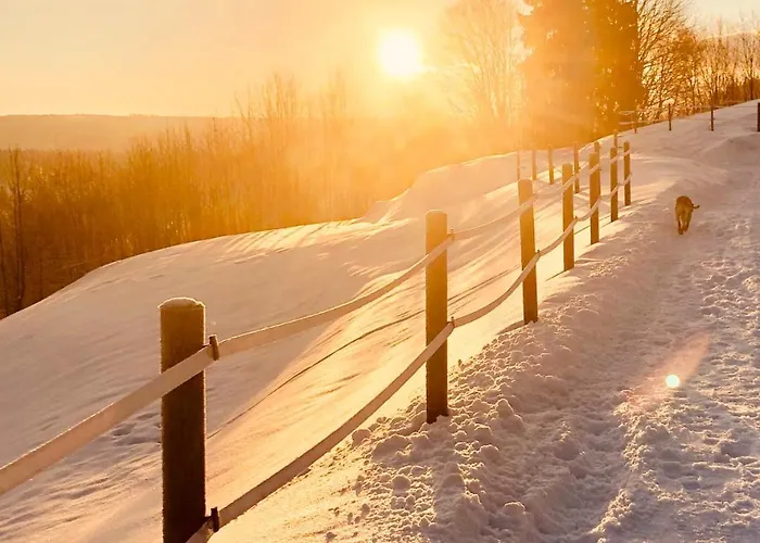 아파트 Innwersja 두슈니키 즈드로지