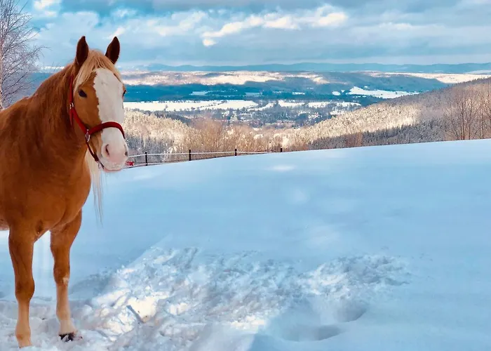 Innwersja Apartament Duszniki Zdrój